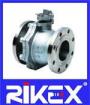 Raised Faced Slip-On Flange-ANSI Standard