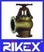 Marine DIN Cast Bronze Suction Sea Valve