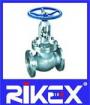 Marine API/ANSI Stainless Steel Globe Valve