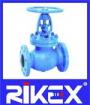 Marine API/ANSI Bellows Globe Valve