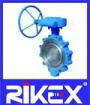 Marine API/ANSI Eccentric Lug Type Butterfly Valve