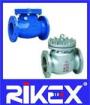 Marine API/ANSI Swing Check Valve