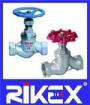 Industrial DIN PN10/16/25 Female Thread Globe Valve