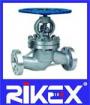 Industrial DIN Stainless Steel PN10/16/25/40 Globe Valve