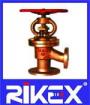 Industrial DIN Cast Bronze PN10/16/25 Angle Valve