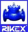 DIN3202-F6 Cast Steel PN10/16/25/40 Swing Check Valve