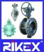 DIN High Performance Butterfly Valve