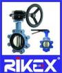 DIN Concentric Lug Type Butterfly Valve