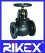 API/ANSI Flanged Cast Iron Class125/150 Globe Valve