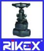 API/ANSI Socket Welding/Thread End Forged Steel Globe Valve