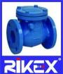 API/ANSI Cast Iron Class125/150 Swing Check Valve