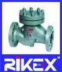 API/ANSI Cast Steel Class150/300/600 Lift Check Valve