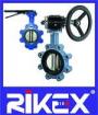 API/ANSI Concentric Lug Type Butterfly Valve