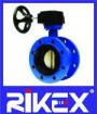 API/ANSI Concentric Flanged Type Butterfly Valve