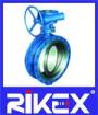 API/ANSI Eccentric Flanged Type Butterfly Valve